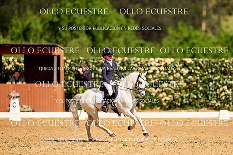 ALEVINES EQUIPOS.