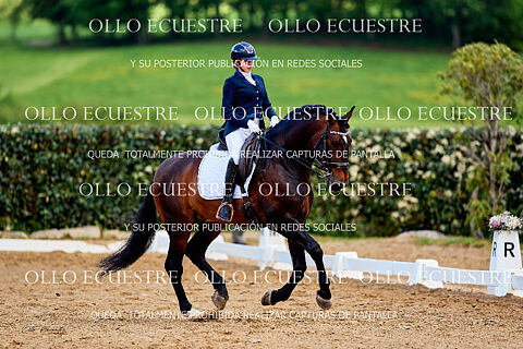 RIDER 2A y RIDER 2A OPEN.