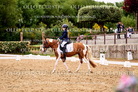 BENJAMINES 1 y AP PRELIMINAR OPEN.