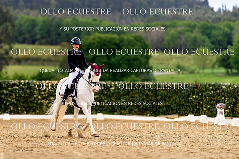 INTERMEDIA A OPEN y JUVENIL 0*
