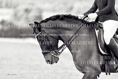 RIDER 3A  y RIDER 3A OPEN.