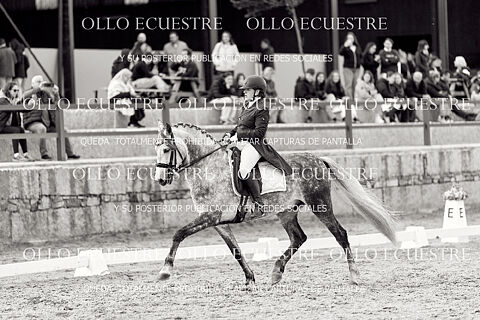 CJ PRELIMINAR 7 AÑOS y SAN JORGE.