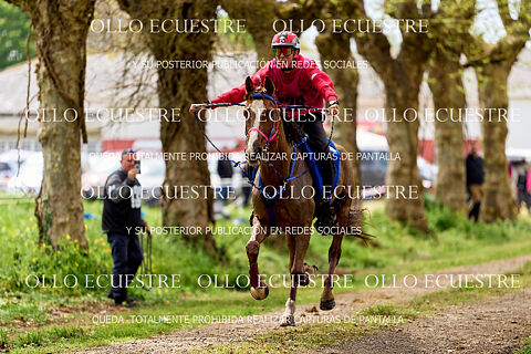 II RAID INTERNACIONAL SIGLO ENDURANCE