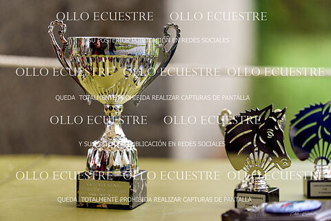 PREMIADOS Y ROBADOS.