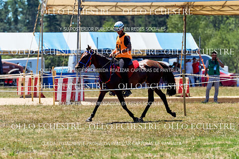 IV RAID INTERNACIONAL CONCELLO DO CORGO 2026
