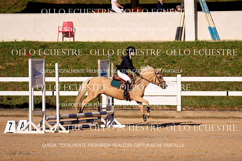 CAT 0,50 Primeros 10 participantes apróx,