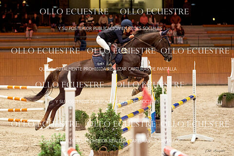 XXVI TROFEO CASAS NOVAS 24 y 25 Octubre