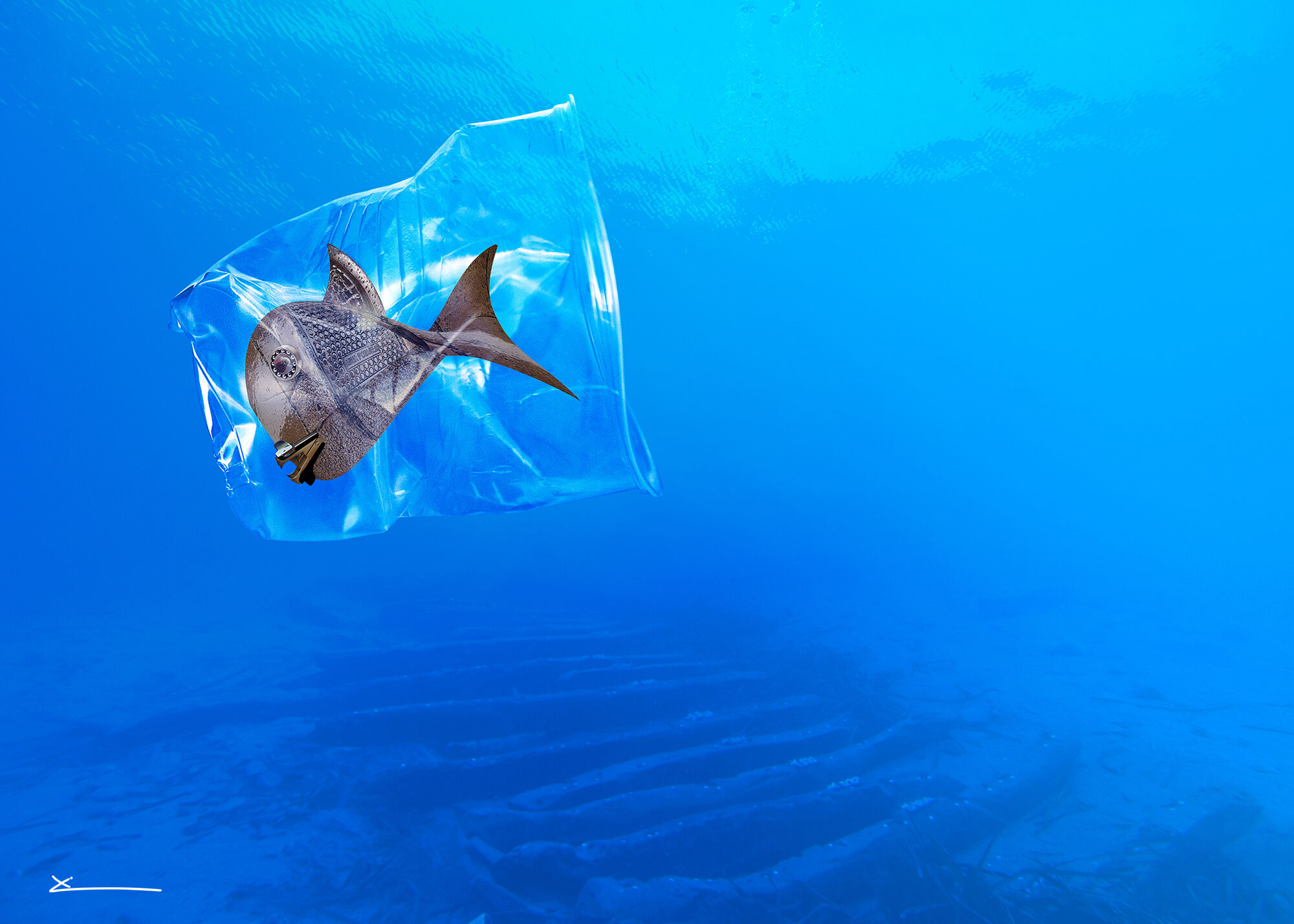 La Mar de Net - poti.jpg