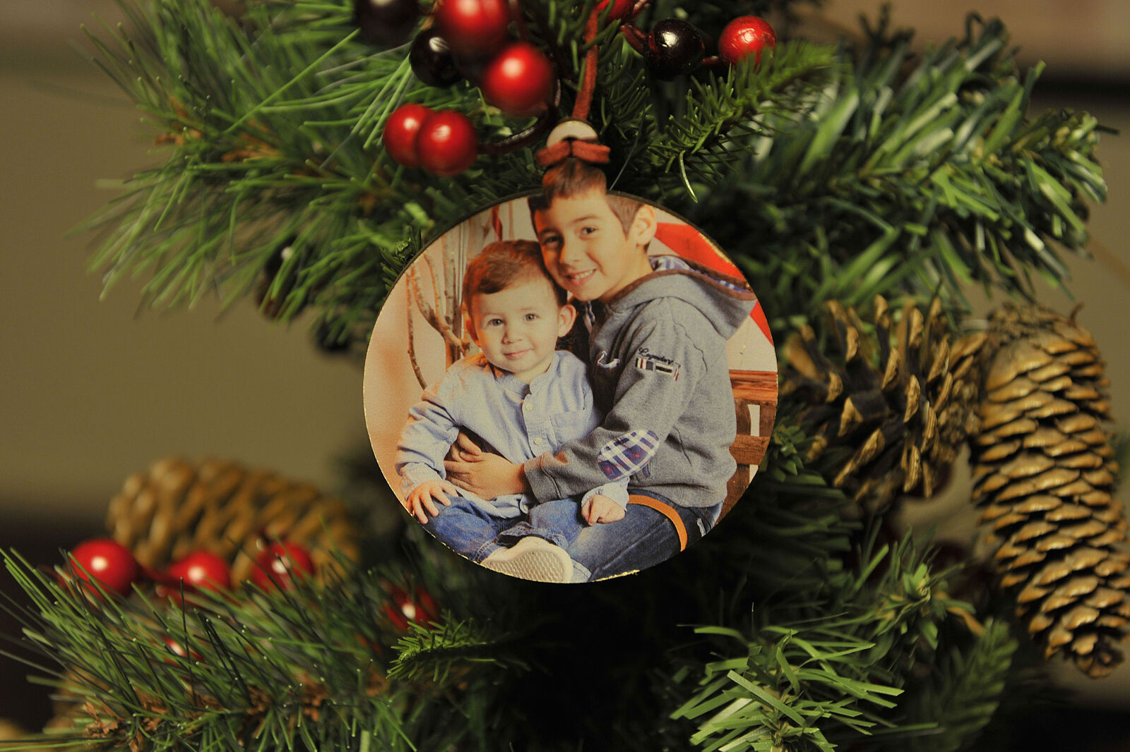 Xavi Olivé Fotografia - _dsc7521-ts20251030175449232028.jpg