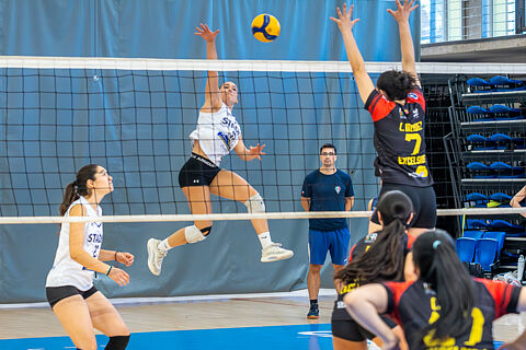 NO EDITION (pre-order)