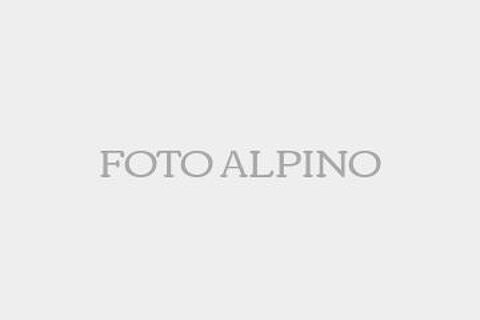 FOTO ALPINO