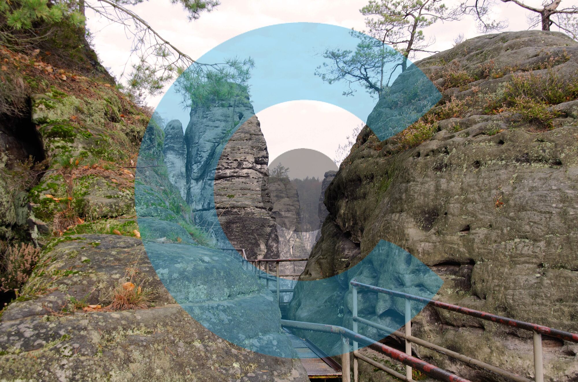 Kunst natur (34)