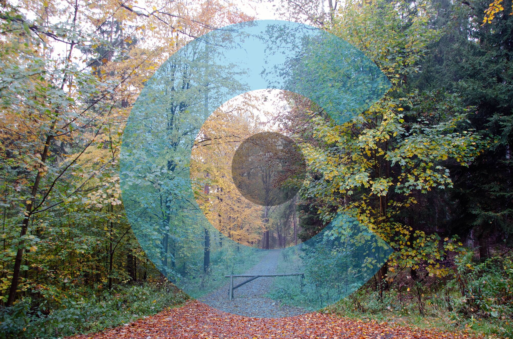 Kunst natur (3)