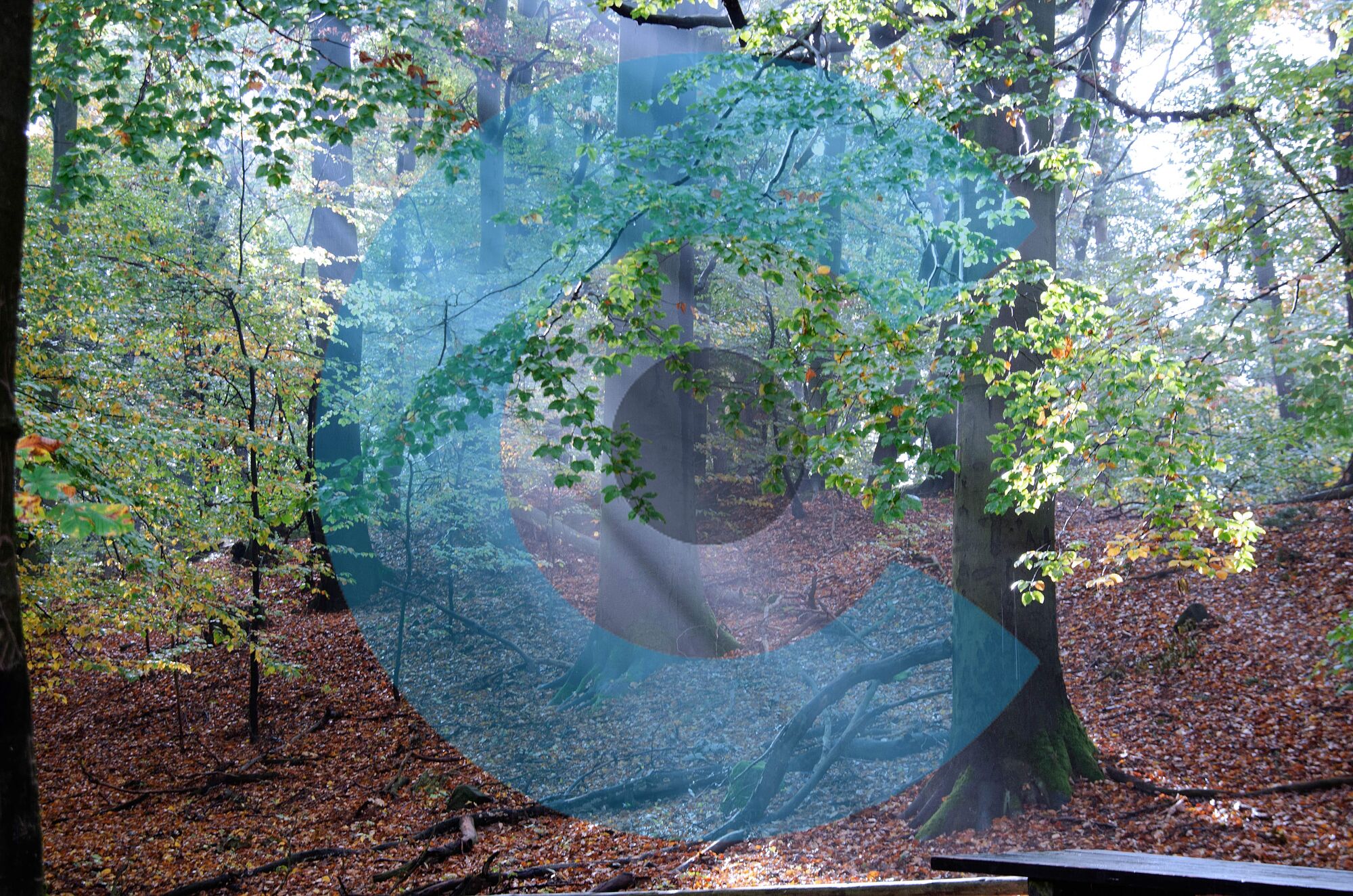 Kunst natur (40)