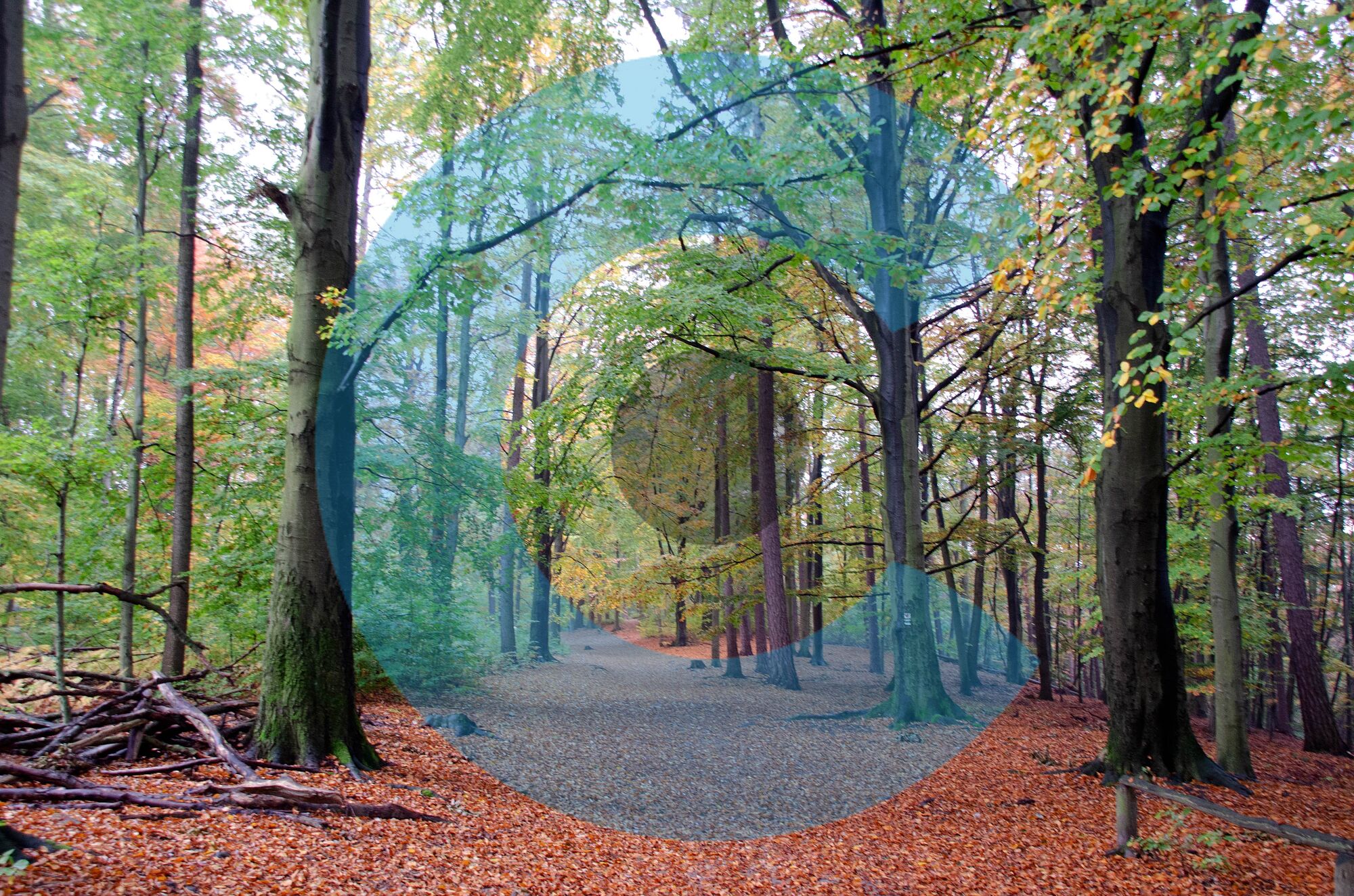 Kunst natur (4)