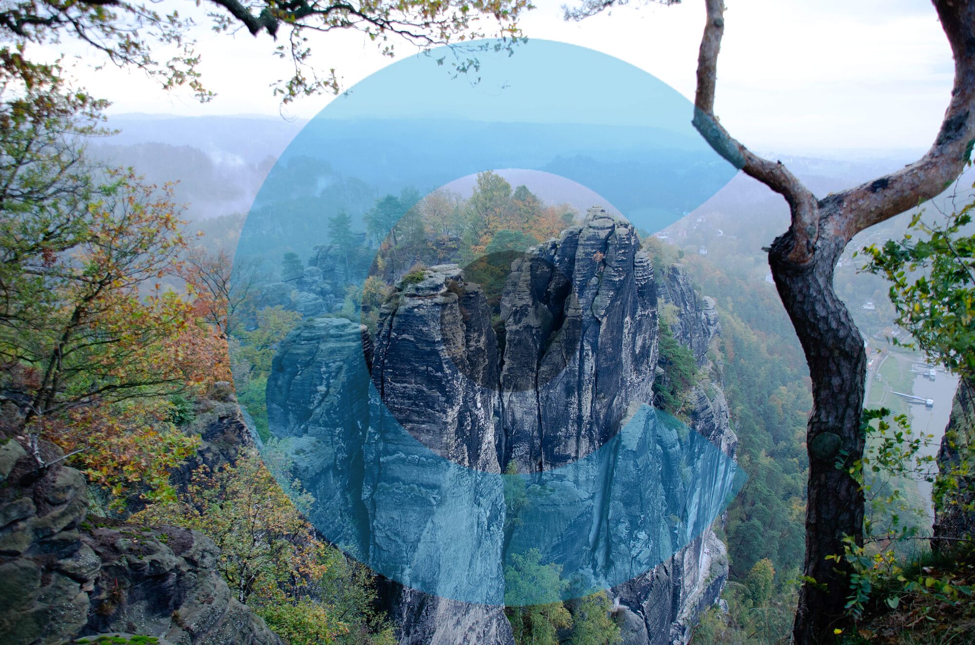 Kunst natur (7)