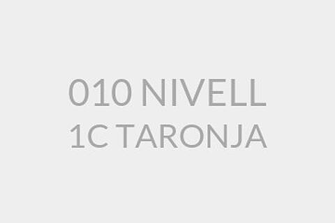 010 NIVELL 1C TARONJA