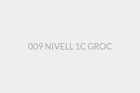 009 NIVELL 1C GROC