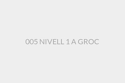 005 NIVELL 1 A GROC