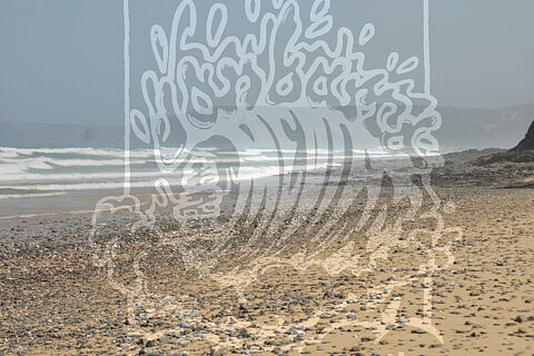 RUSSO SURF CAMP PHOTOS 01-08-2025