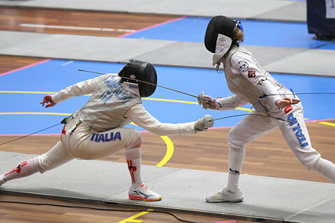 BIBITE - BARDES - CIAMPALINI - GRANDIS