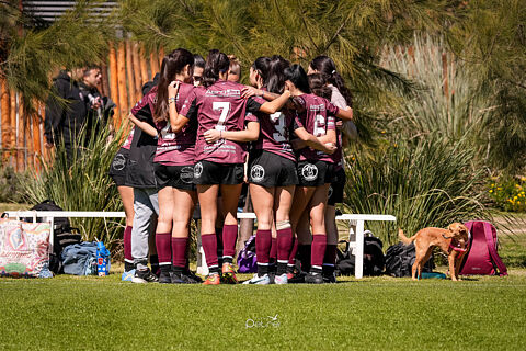 TOROS VIEJOS FEMENINO