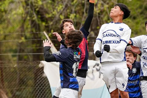 resumen lasallano vs juniors platino