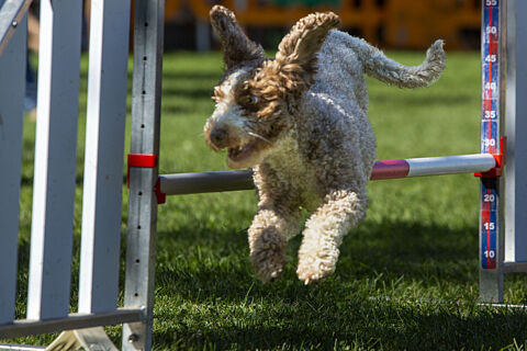 Agility Stock 14-Sept