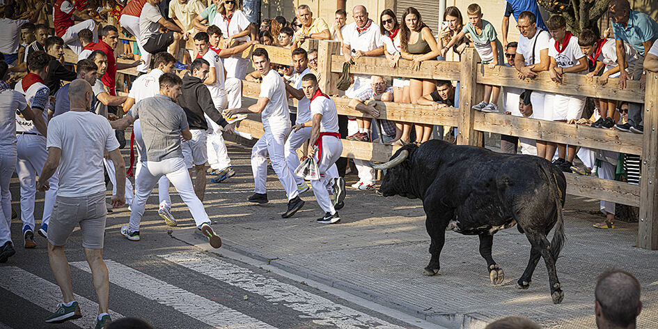 Pablo Mena Fotógrafo - encierro-de-tafalla-2025-ts20250815104108521527.jpg
