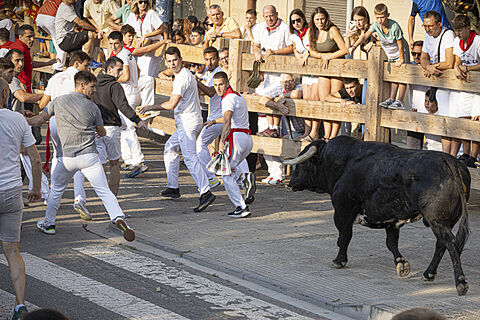 ENCIERROS TAFALLA 2025