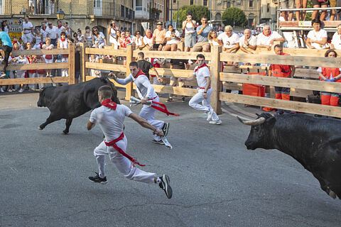 Encierro Tafalla día 16-CURVA DE LA FAROLA-2