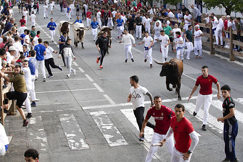 Encierro Tafalla día 19-CALLEJÓN