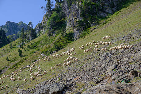VALLS GAVARNIE-5