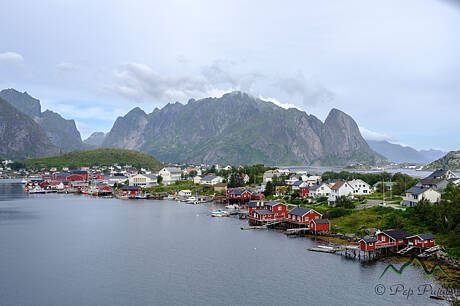 Lofoten-0870