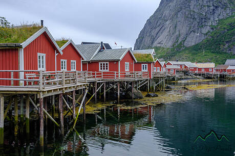 Lofoten-0887