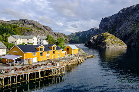 Lofoten-0938