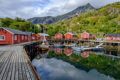 Lofoten-0946