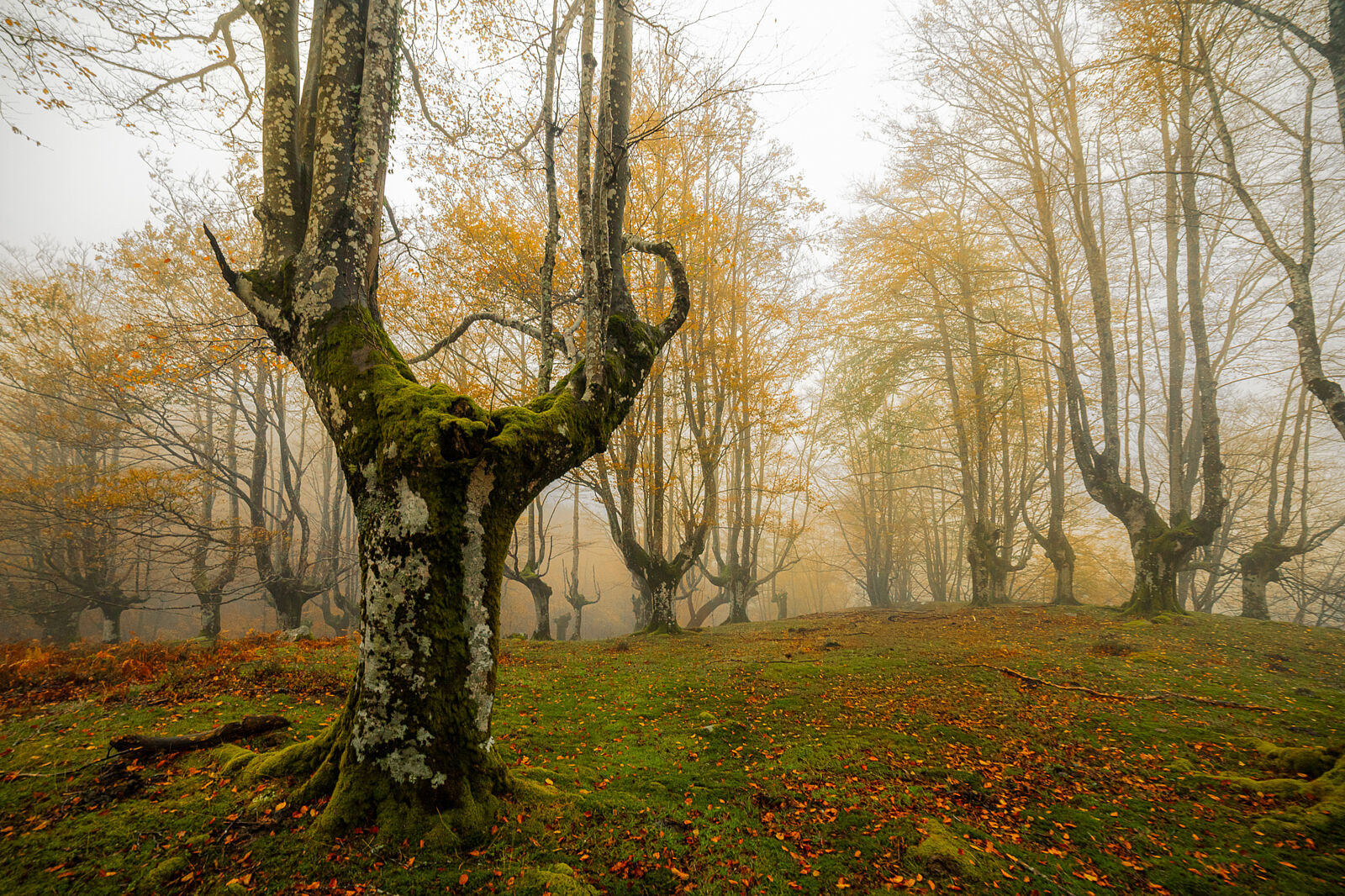 Enrique Izquierdo Fotografía - _23a7756-ts20251129133727612720.jpg