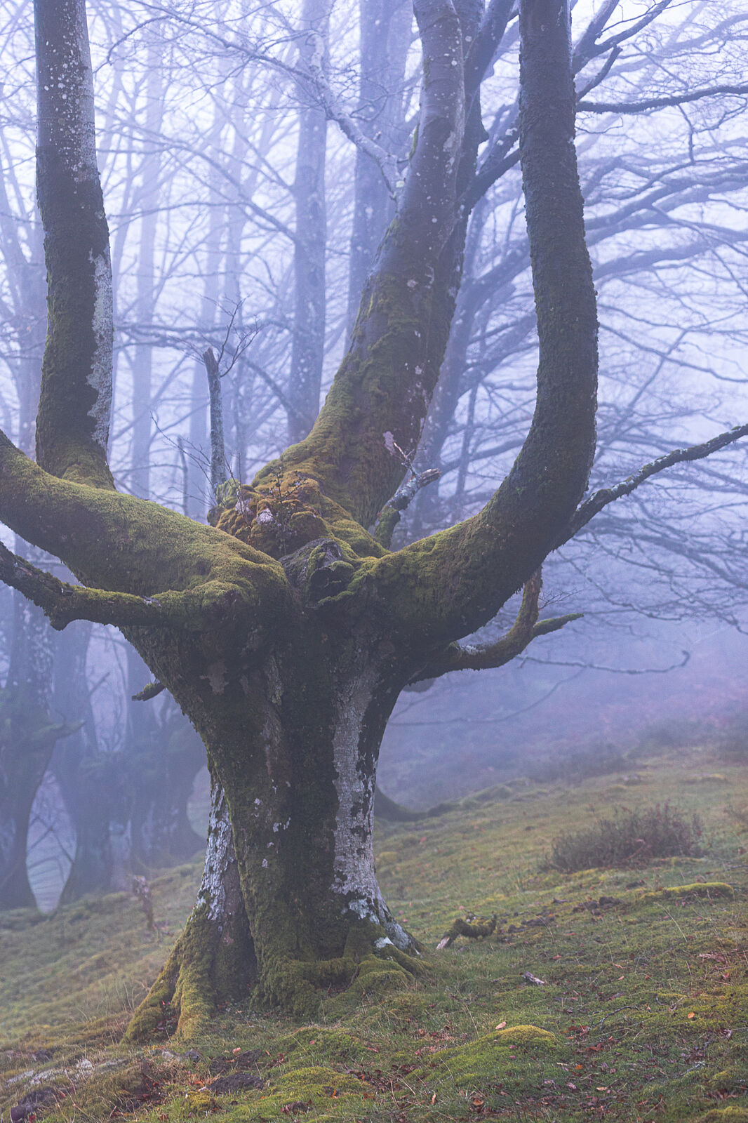 Enrique Izquierdo Fotografía - _23a7786-ts20251129134512510965.jpg