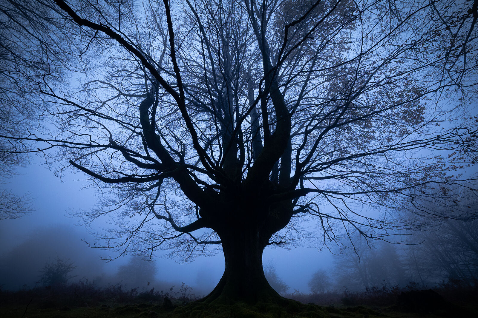 Enrique Izquierdo Fotografía - _23a7791-ts20251129133848382374.jpg