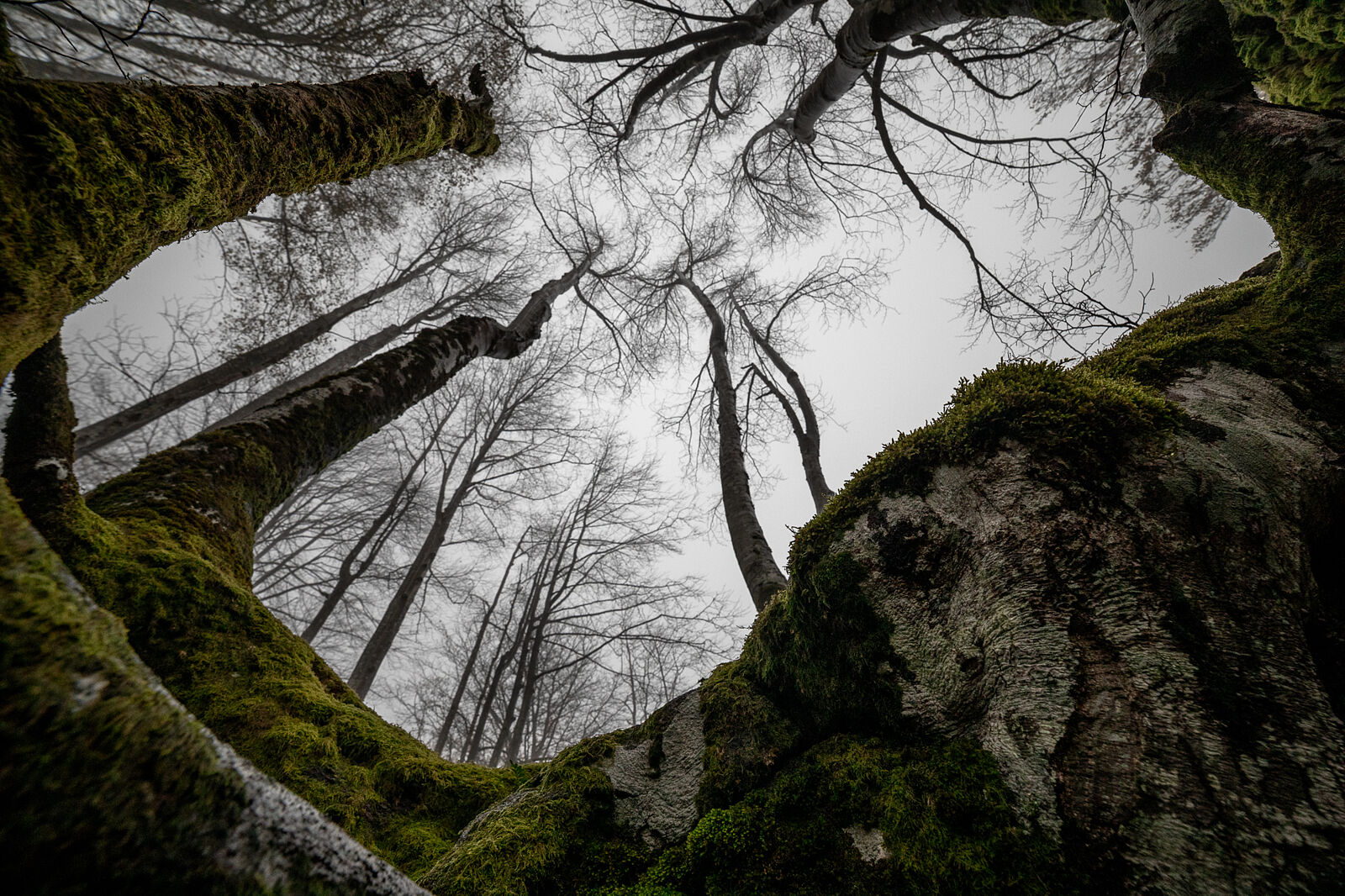 Enrique Izquierdo Fotografía - _23a7871-ts20251129133910120723.jpg