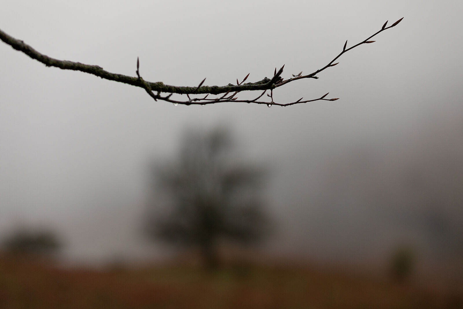 Enrique Izquierdo Fotografía - _23a7886-ts20251129133944693504.jpg