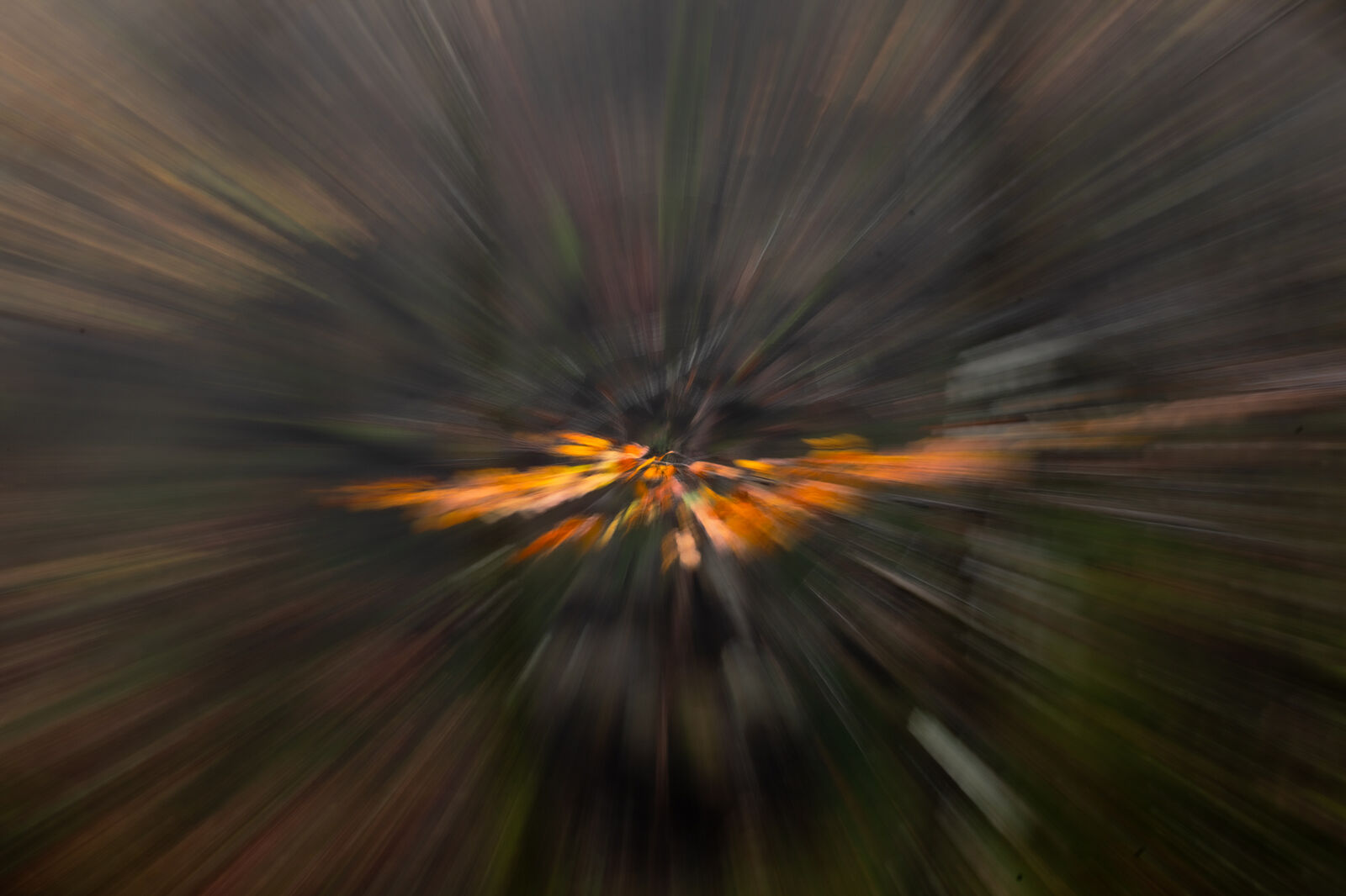 Enrique Izquierdo Fotografía - _23a7980-ts20251129134000169581.jpg