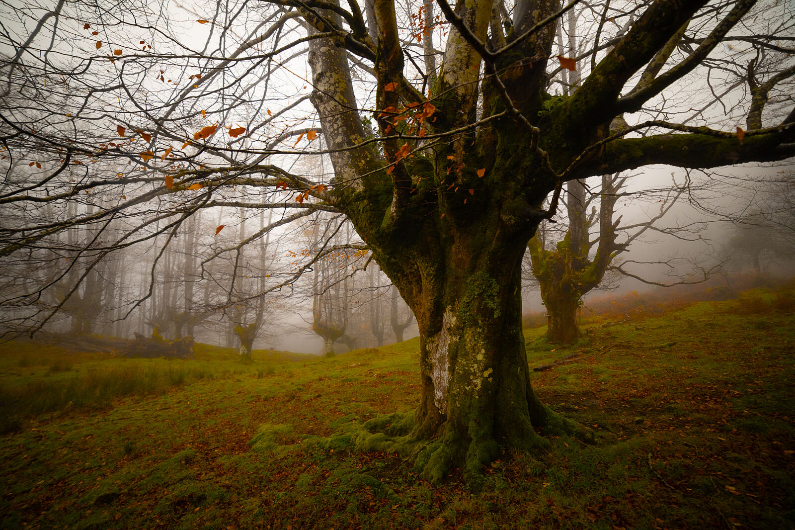 Enrique Izquierdo Fotografía - _23a7989-ts20251129134015380630.jpg