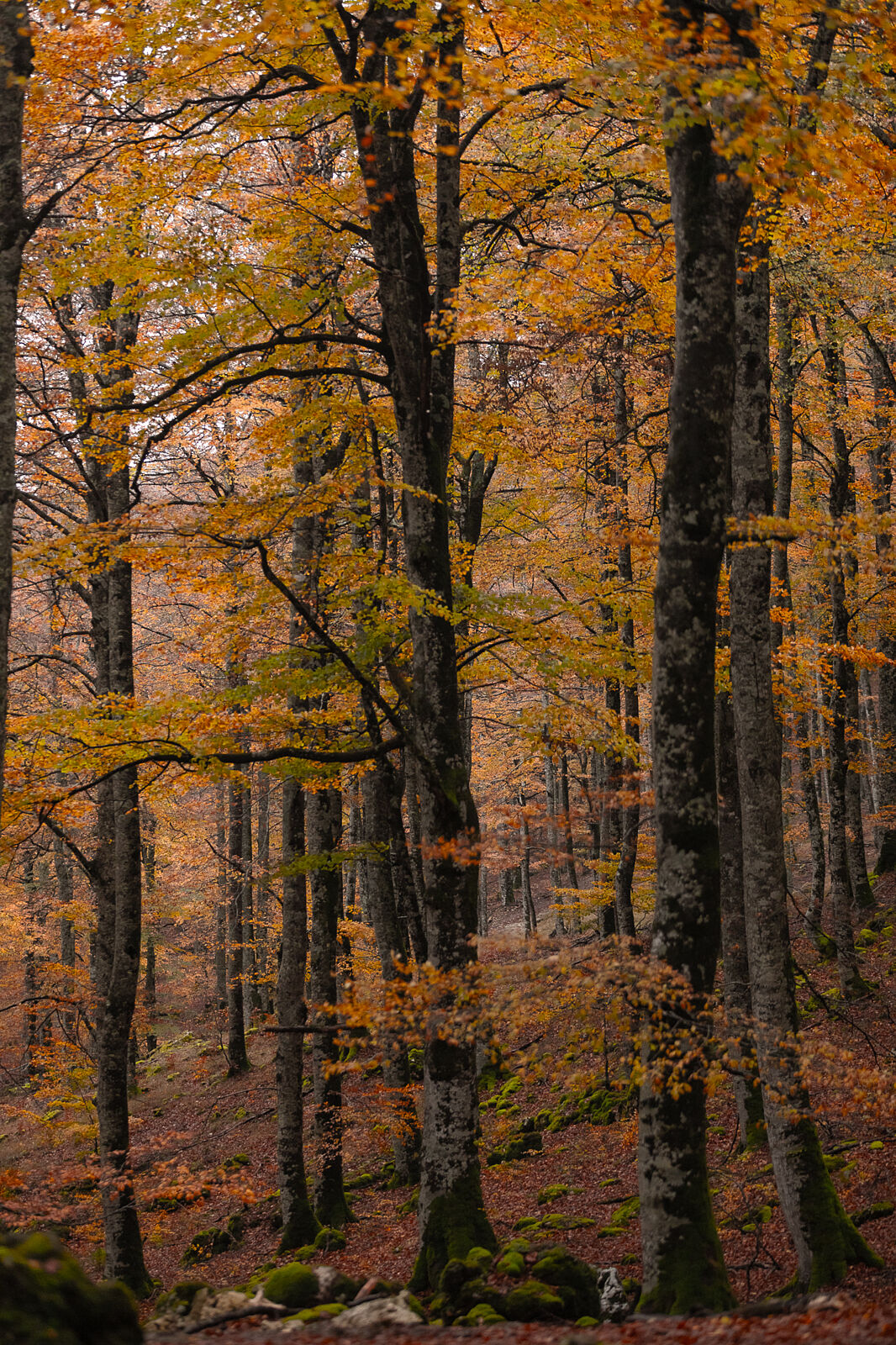 Enrique Izquierdo Fotografía - _23a8086-ts20251129134522498612.jpg
