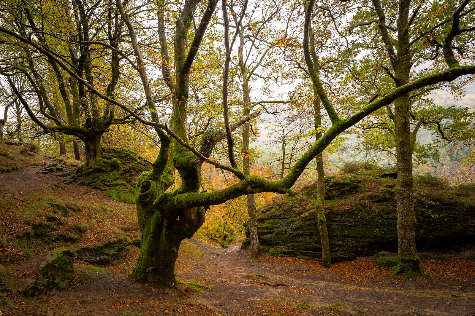 Enrique Izquierdo Fotografía - _a744743-ts20251129134155135481.jpg