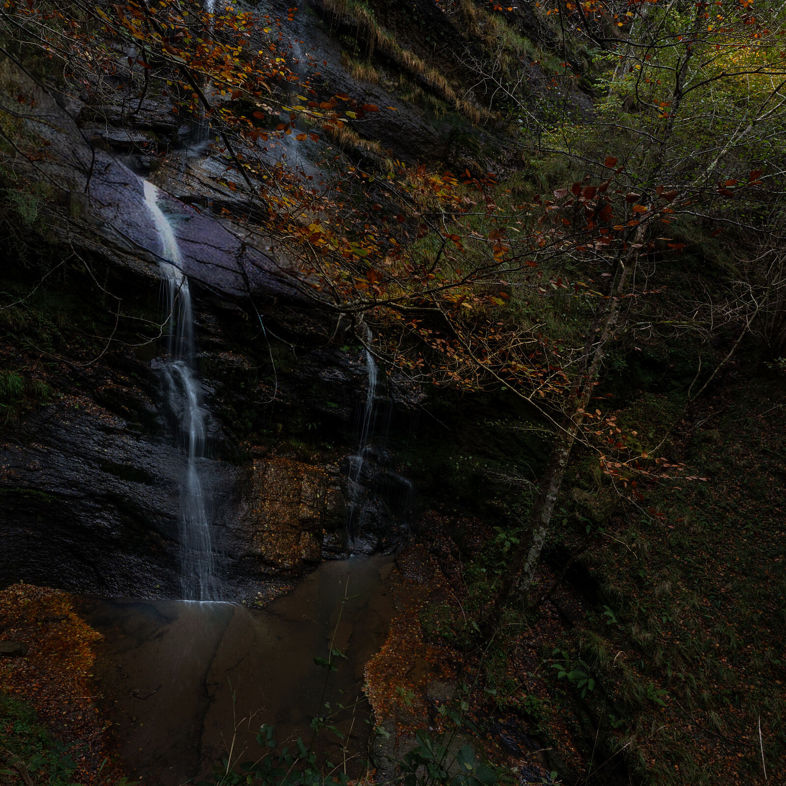 Enrique Izquierdo Fotografía - _a744797-ts20251129134617667775.jpg