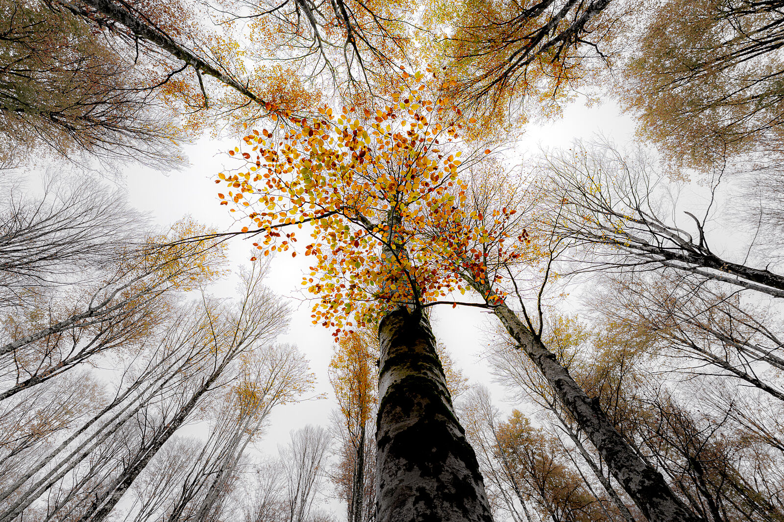 Enrique Izquierdo Fotografía - _a744975-ts20251129134345657060.jpg