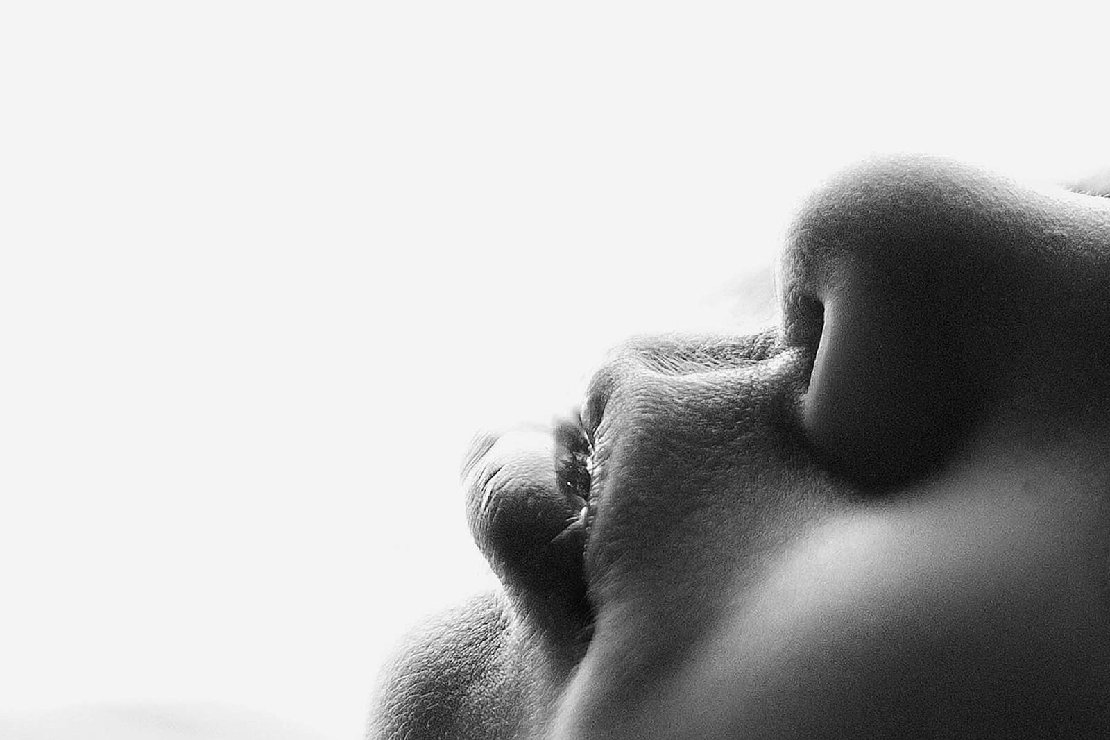 Bea Herdi Fotografía - beaherdifotografia-ts20260407065122676406.jpg