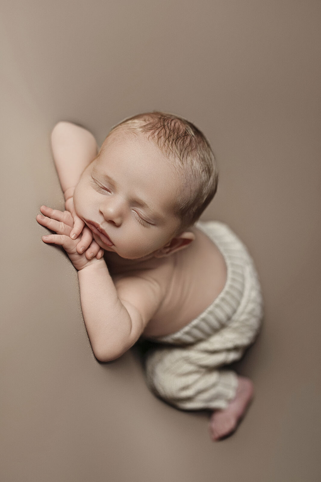 Behedi Photography - dsc_6062-ts20260127172153123329.jpg